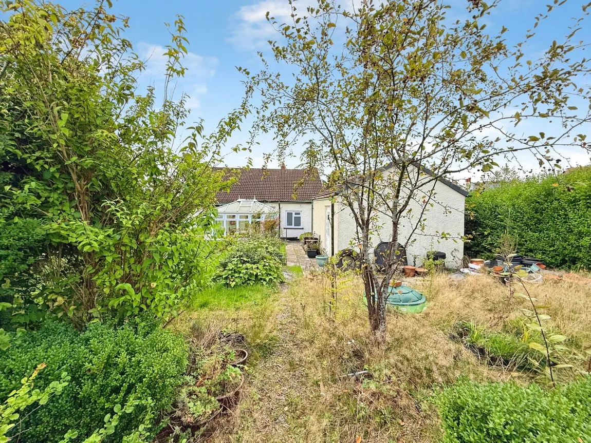 Tree Road, Brampton, CA8, photo 17