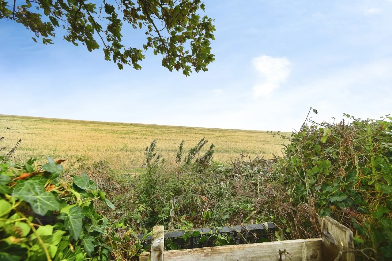 Rodmell Avenue, Saltdean, BN2, photo 5