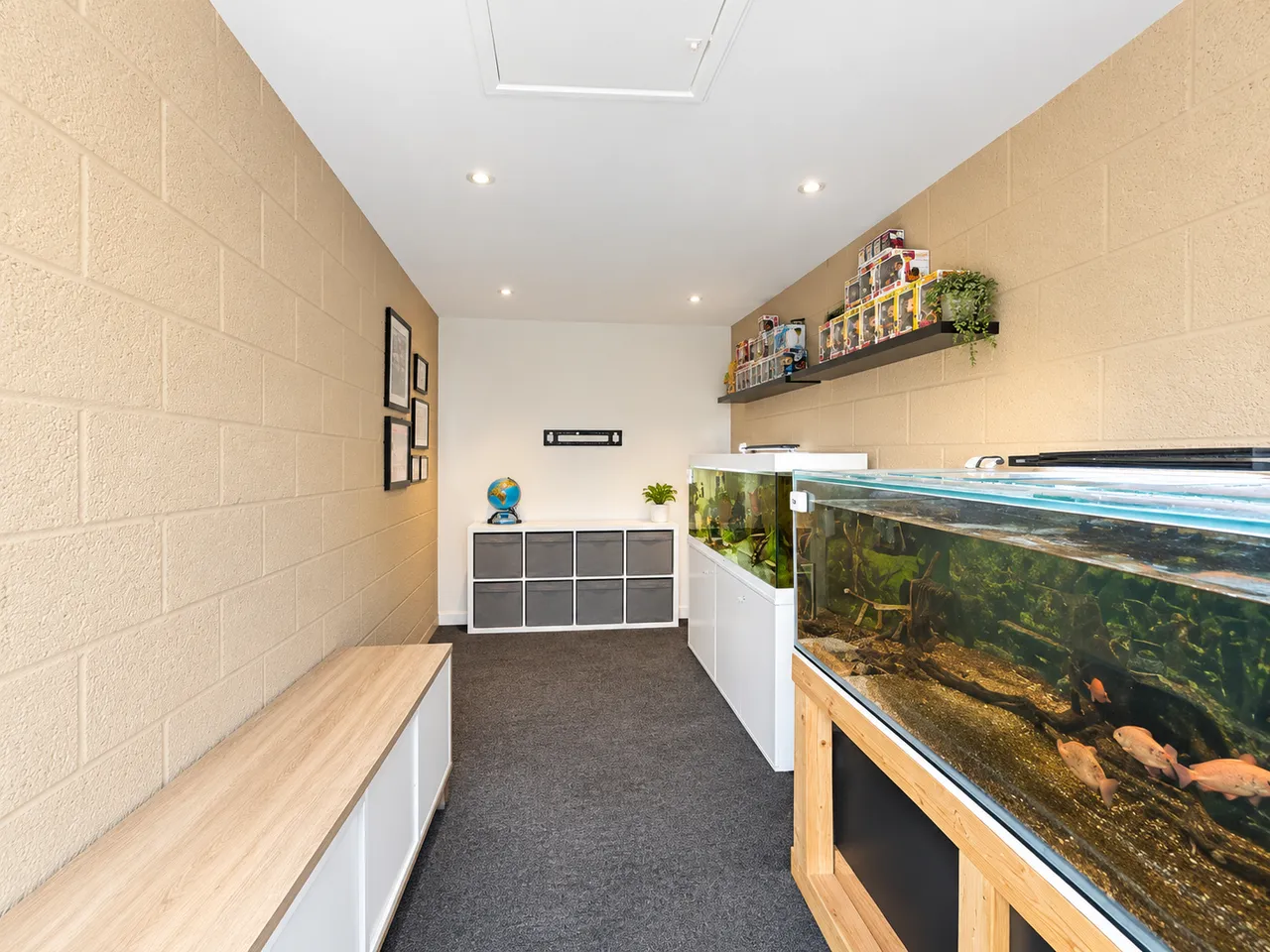 Longship Way, Maldon, photo 15