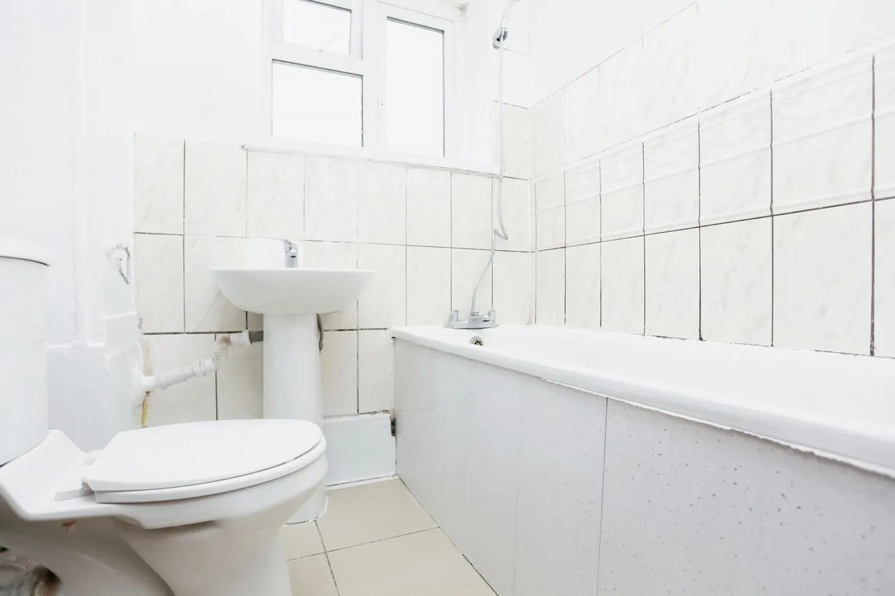 Baizdon Road, London, SE3, photo 11
