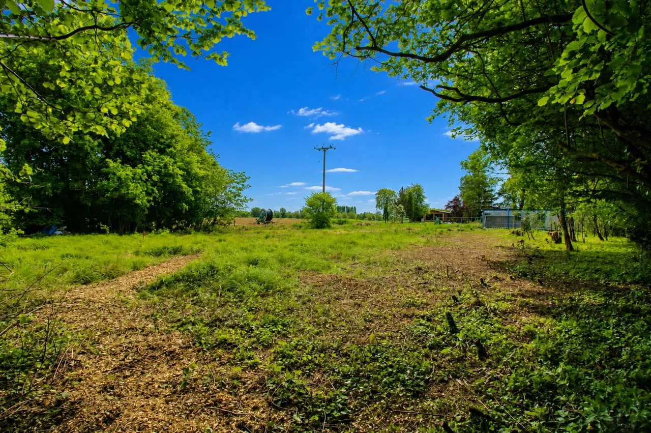 White Roding, Dunmow, CM6, photo 6