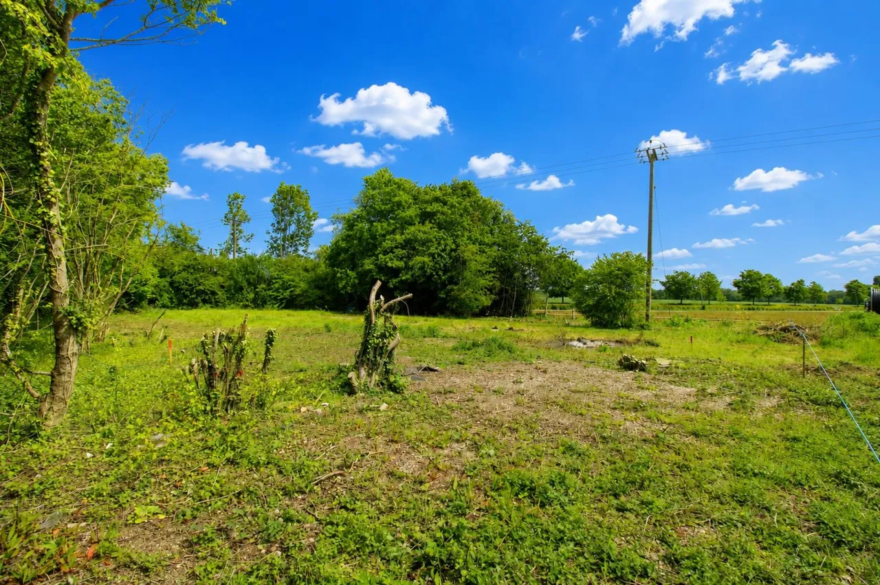 White Roding, Dunmow, CM6, photo 8