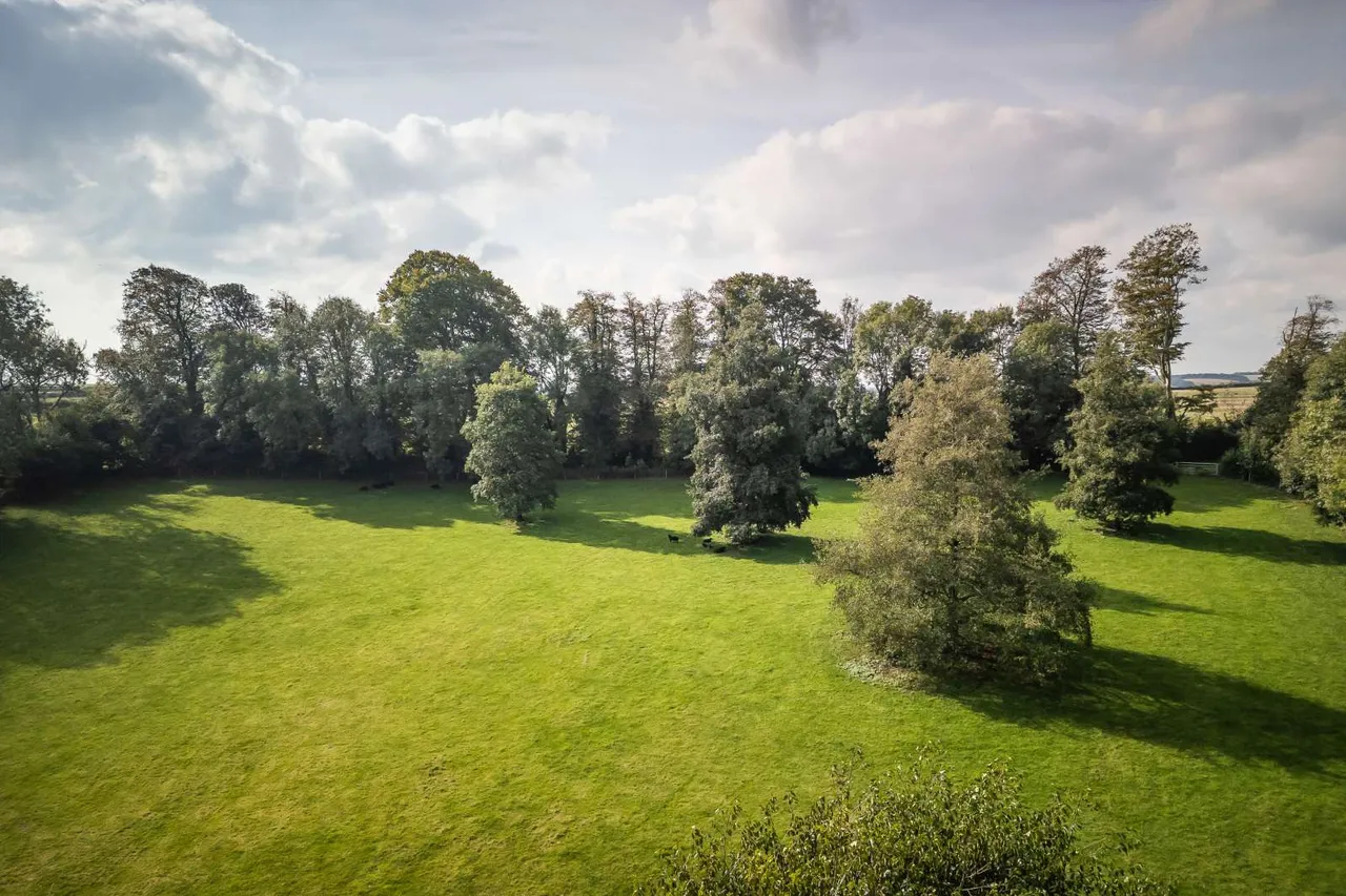 Piddletrenthide, Dorchester, Dorset, DT2 7RE, photo 12