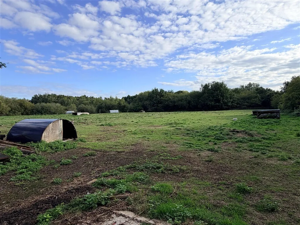 Daneshill Road, Lound, DN22, photo 17