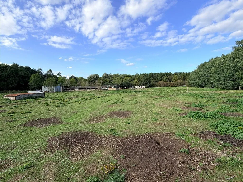 Daneshill Road, Lound, DN22, photo 5