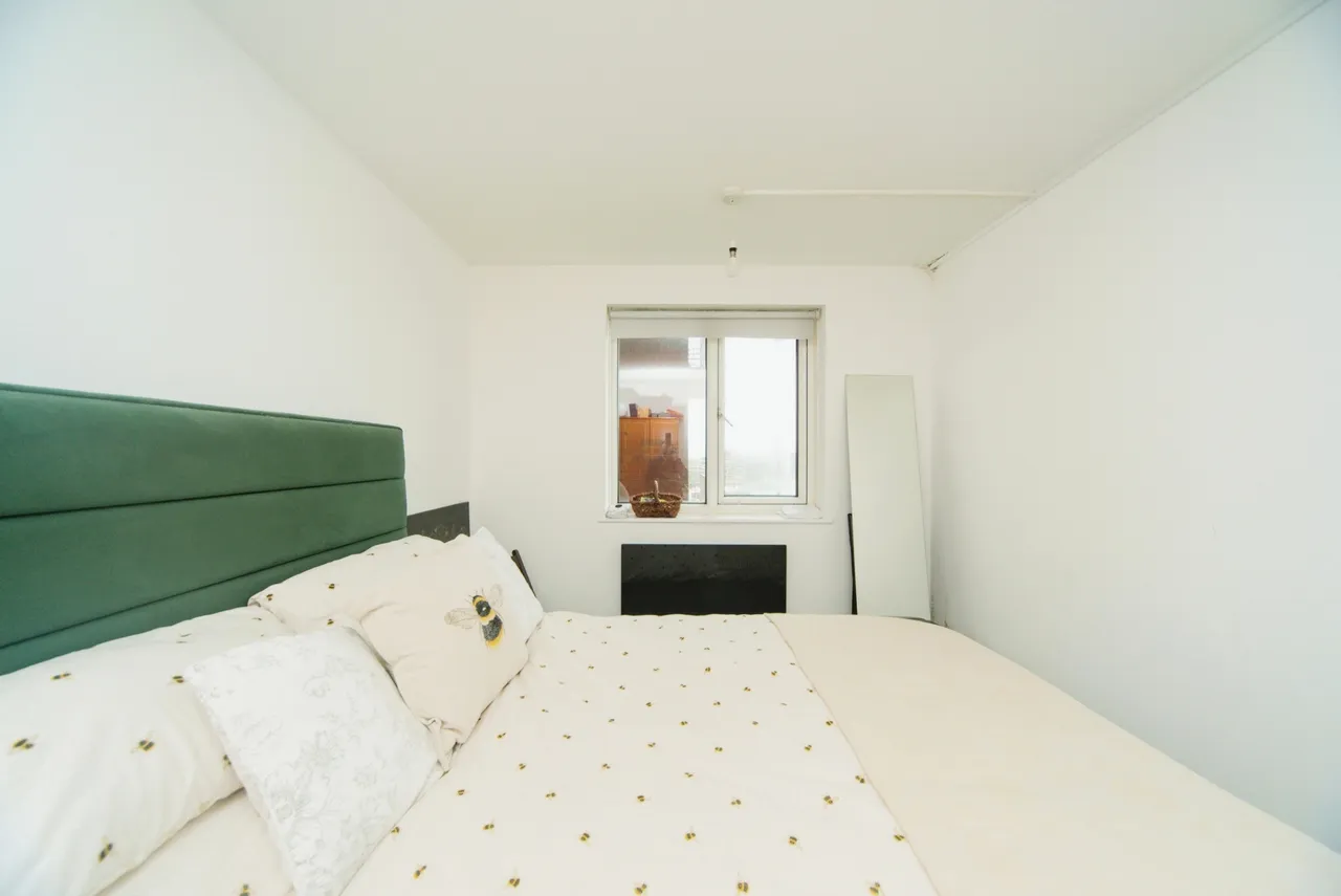Cromwell Road, Hove, BN3, photo 7