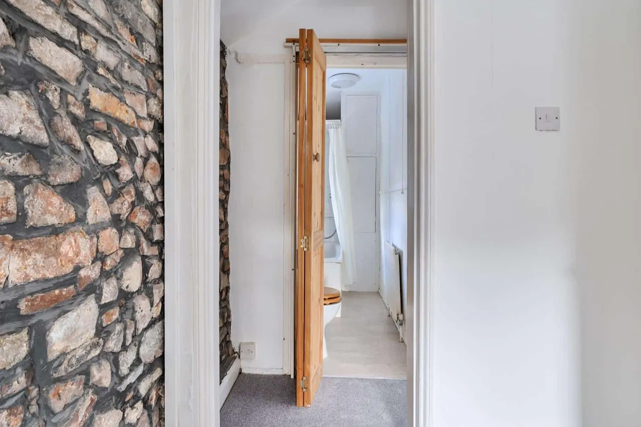 Ninetree Hill, Bristol, BS1, photo 8