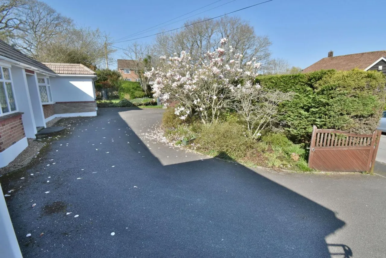 Elm Tree Walk, BH22, photo 26