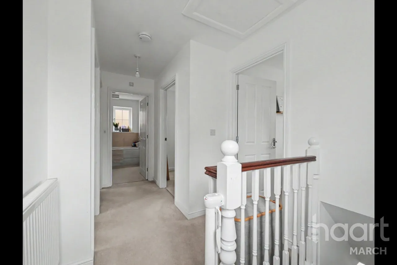 Sunflower Avenue, March, PE15, photo 16