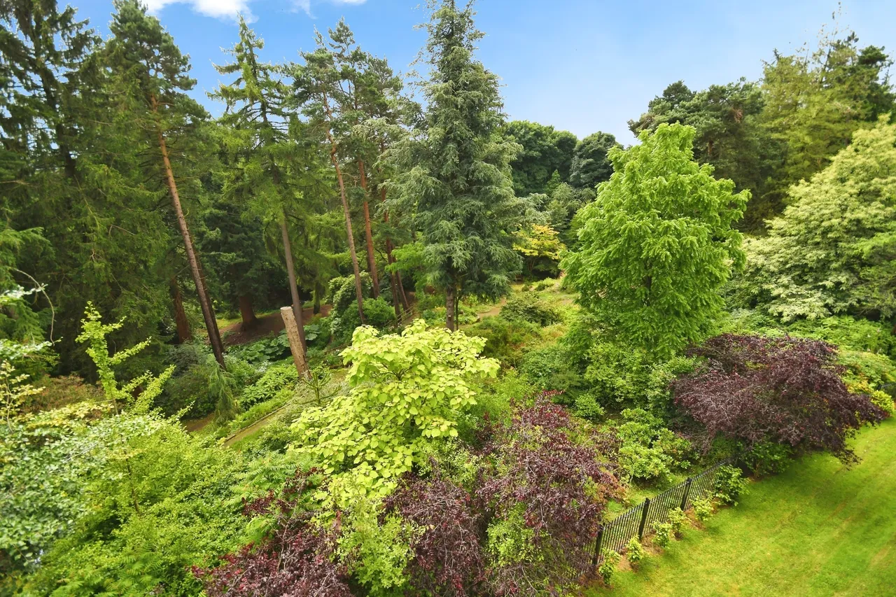 Whinfell Court, Sheffield, South Yorkshire, S11, photo 5