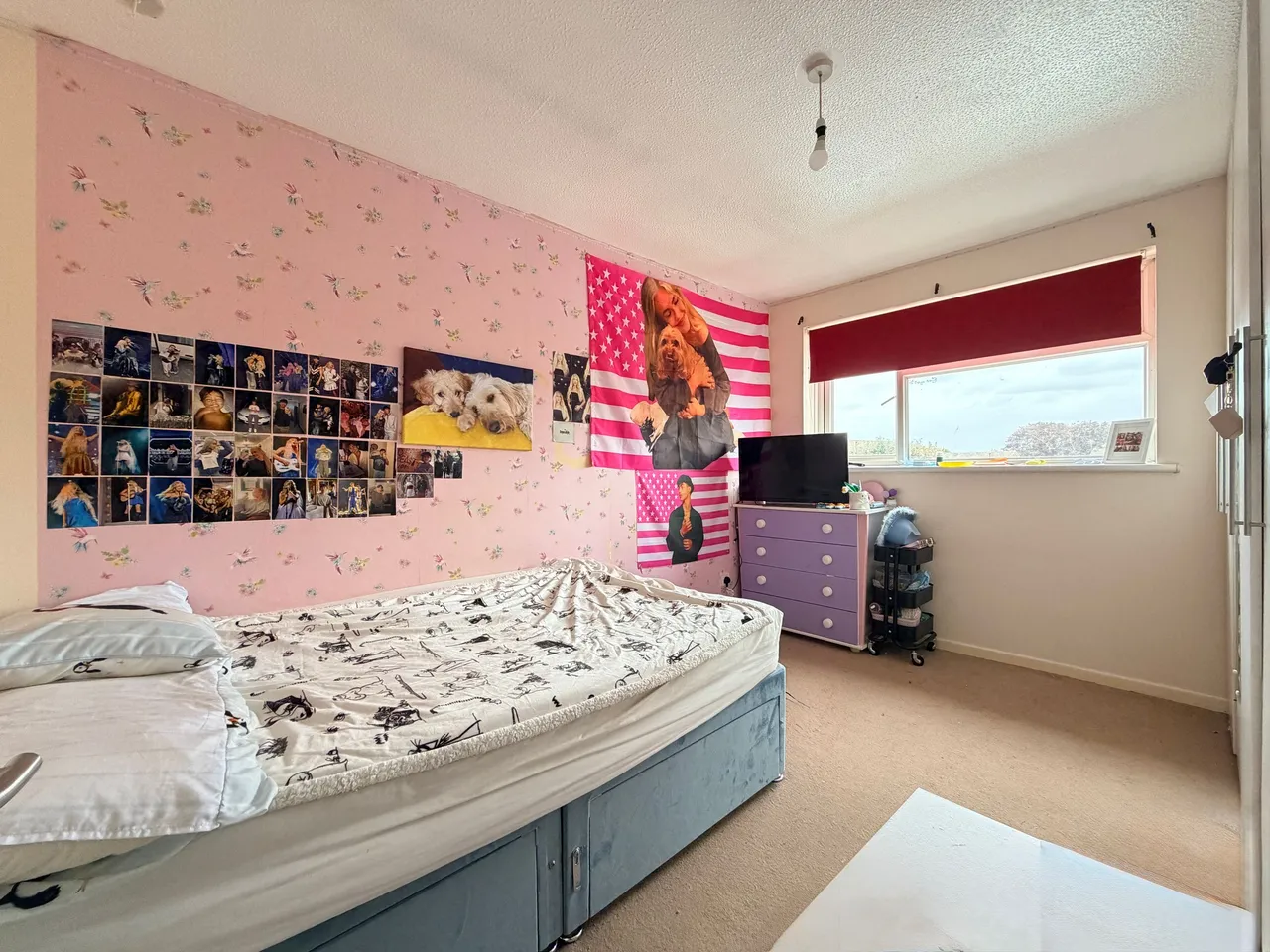 Segsbury Road, Wantage, OX12, photo 6