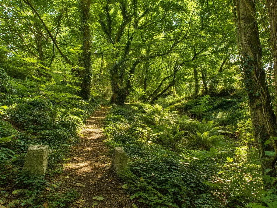 Bodmin, PL30, photo 31