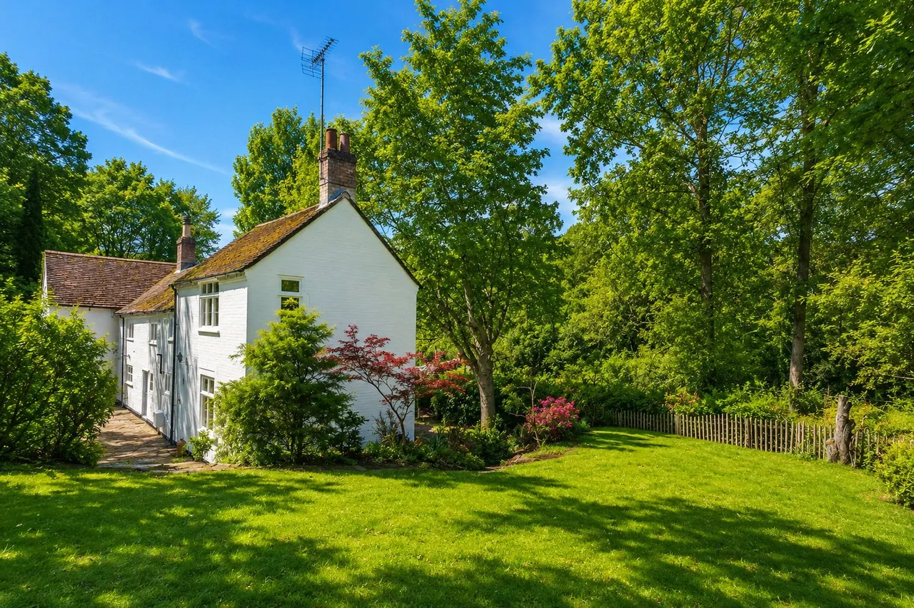Laurel Grove, Wrecclesham, GU10, photo 11