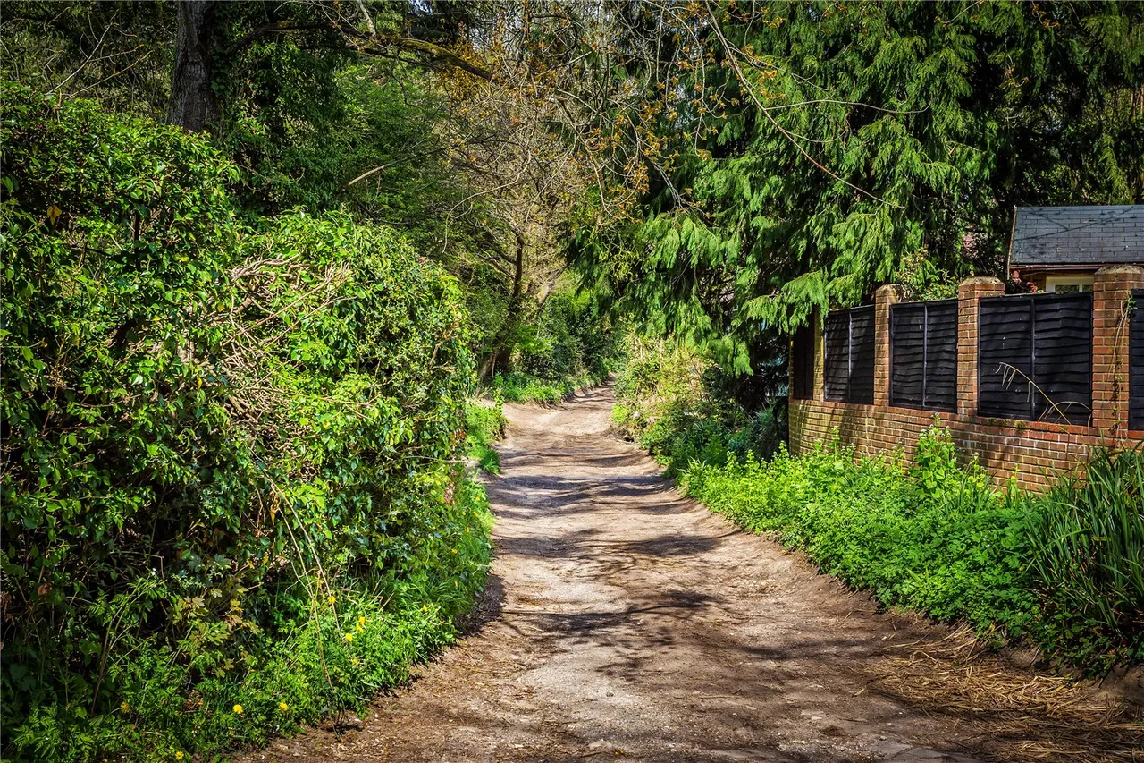 Laurel Grove, Wrecclesham, GU10, photo 20