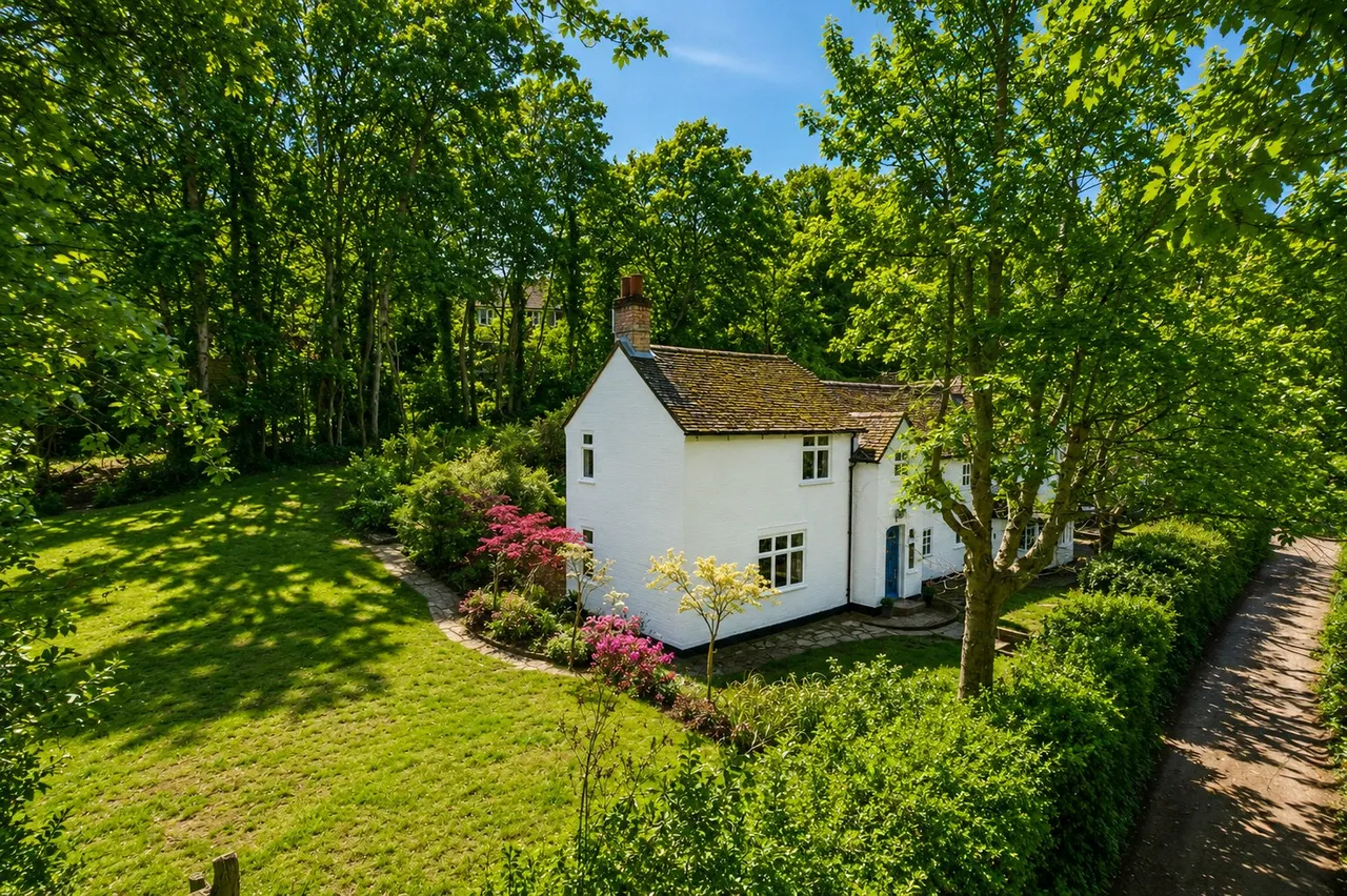 Laurel Grove, Wrecclesham, GU10, photo 4