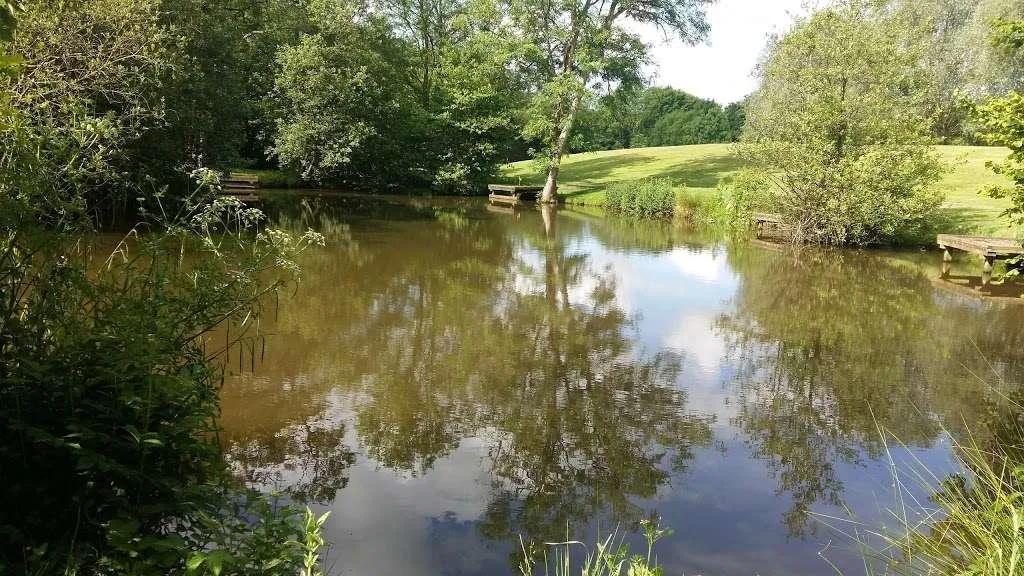Henfold Lane, Dorking, RH5, photo 4