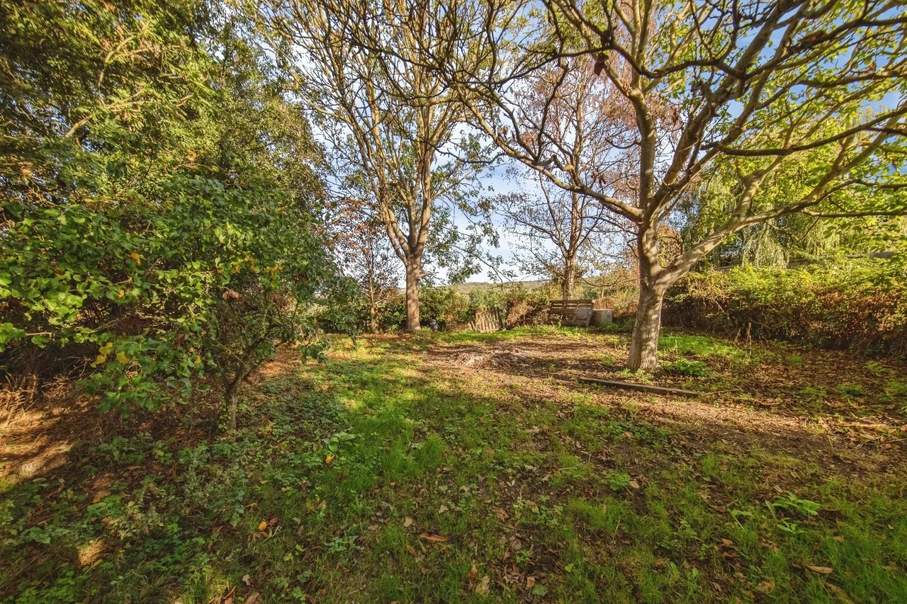 Main Road, Harwich, CO12, photo 10