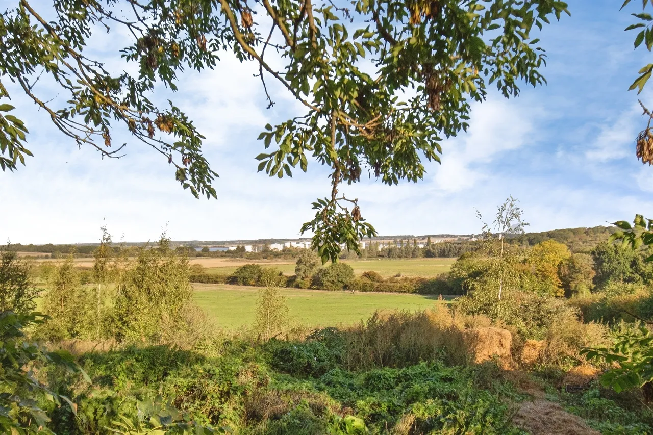Main Road, Harwich, CO12, photo 9