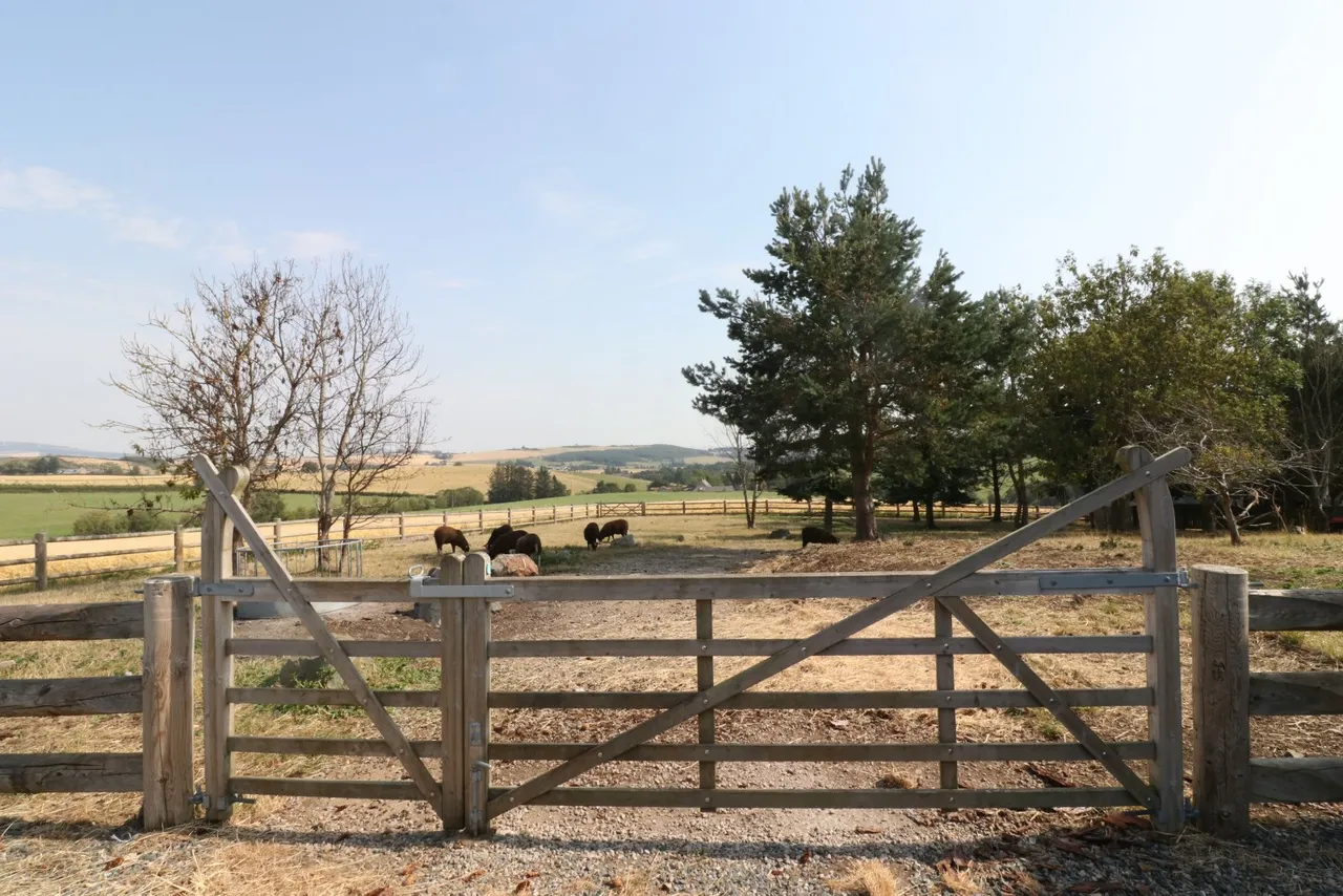 Braehead House, Premnay, AB52, photo 27