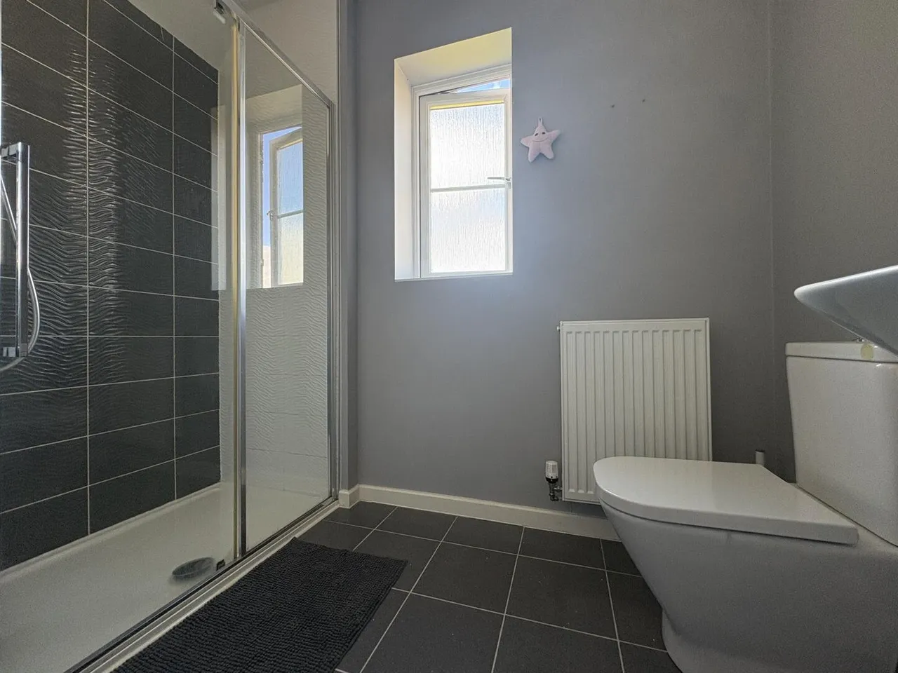 Hollyhock Close, Bridgwater, Somerset TA5 2GY, photo 11