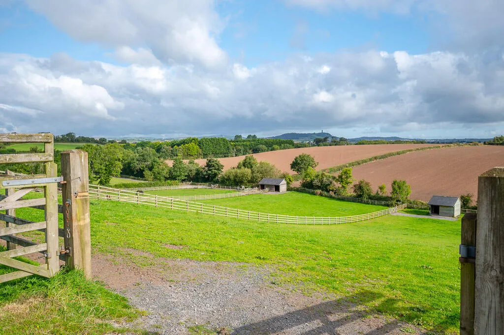 Killinchy Road, comber, BT23, photo 21