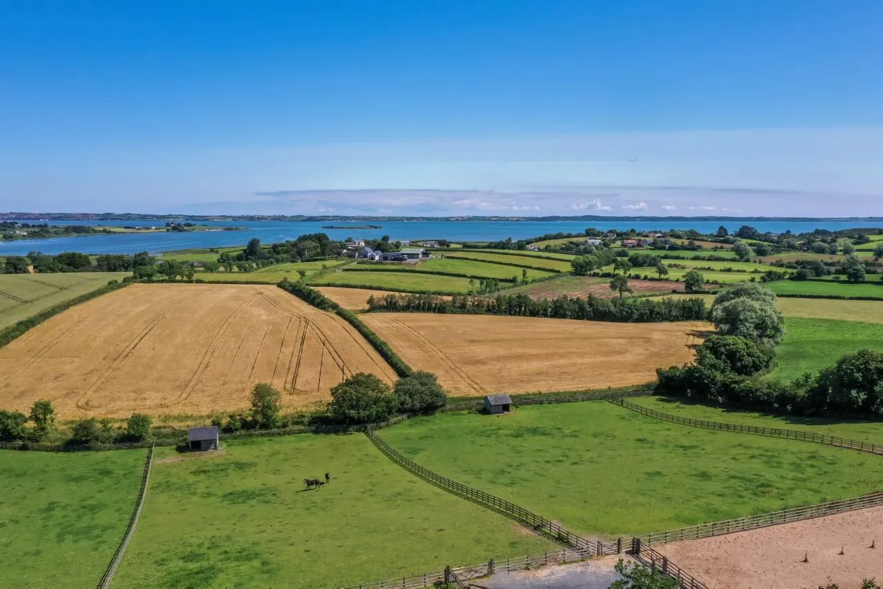Killinchy Road, comber, BT23, photo 24