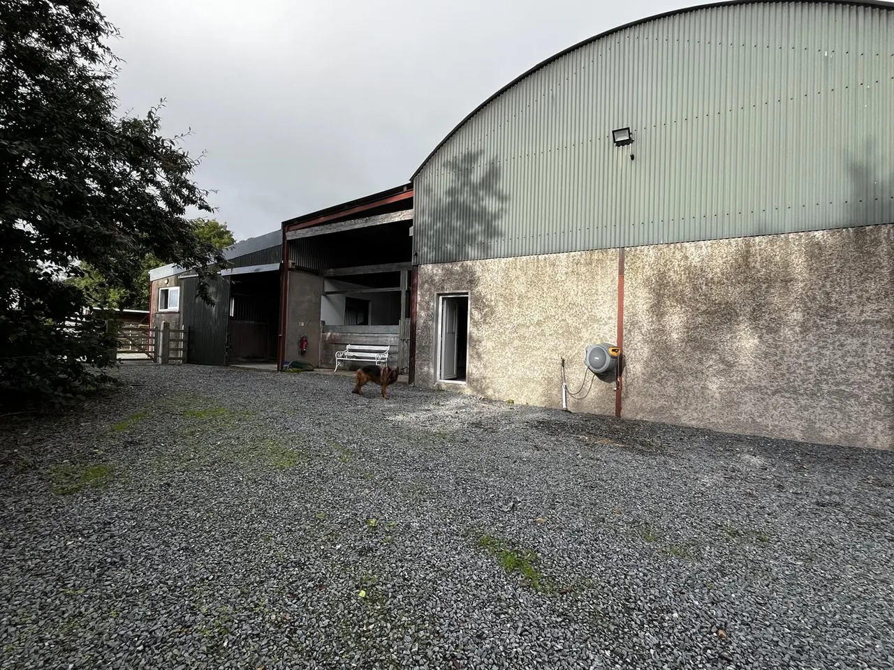 Killinchy Road, comber, BT23, photo 33