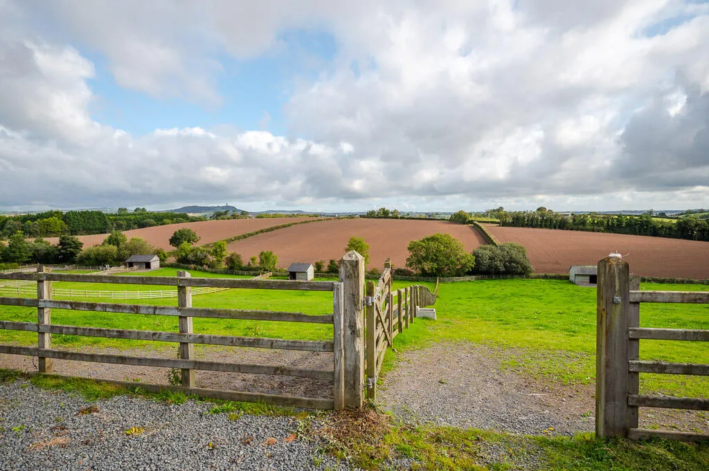 Killinchy Road, comber, BT23, photo 19