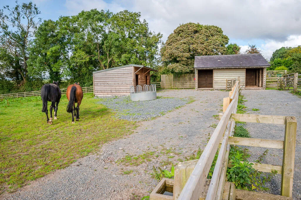 Killinchy Road, comber, BT23, photo 4