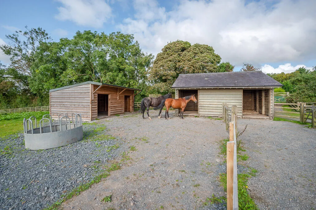 Killinchy Road, comber, BT23, photo 5
