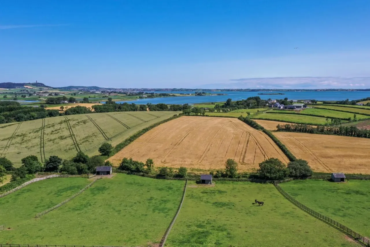 Killinchy Road, comber, BT23, photo 23