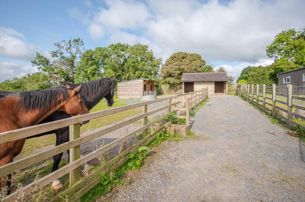 Killinchy Road, comber, BT23, photo 3