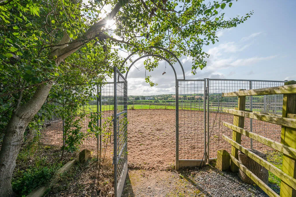 Killinchy Road, comber, BT23, photo 8