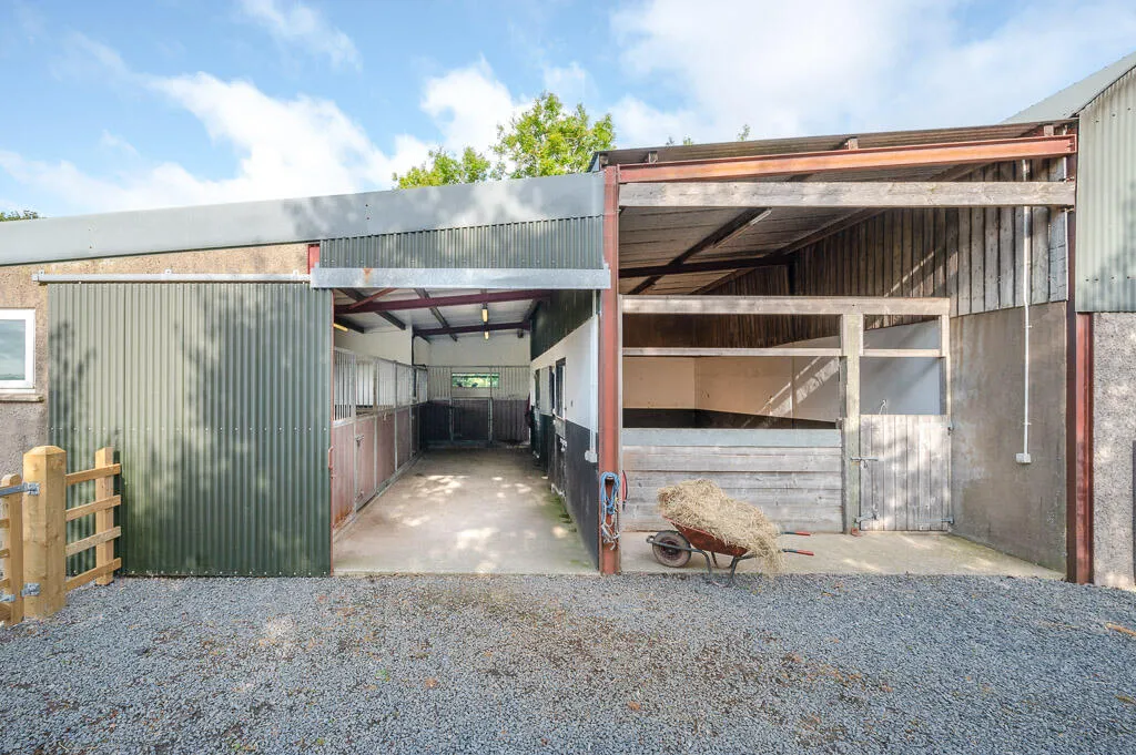 Killinchy Road, comber, BT23, photo 7