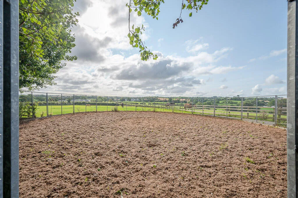 Killinchy Road, comber, BT23, photo 9