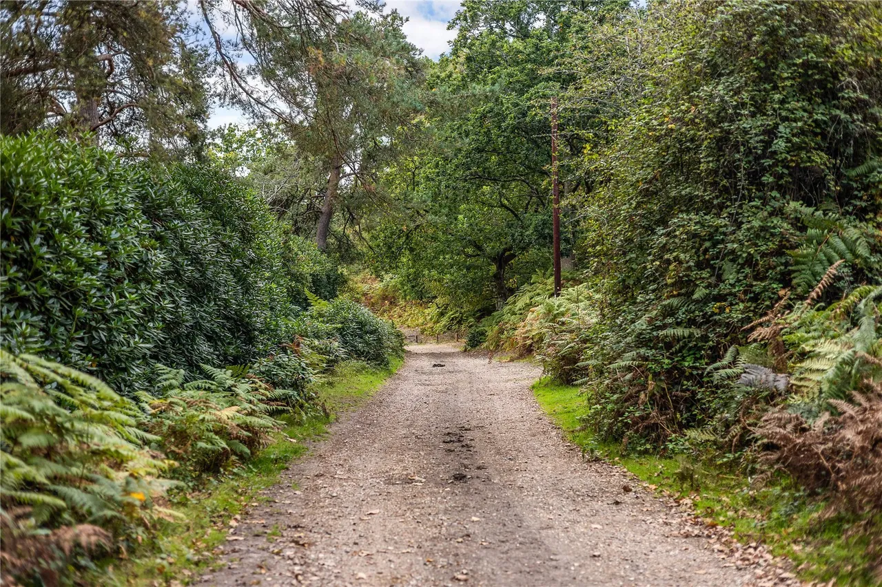 Mockbeggar, Ringwood, BH24, photo 36