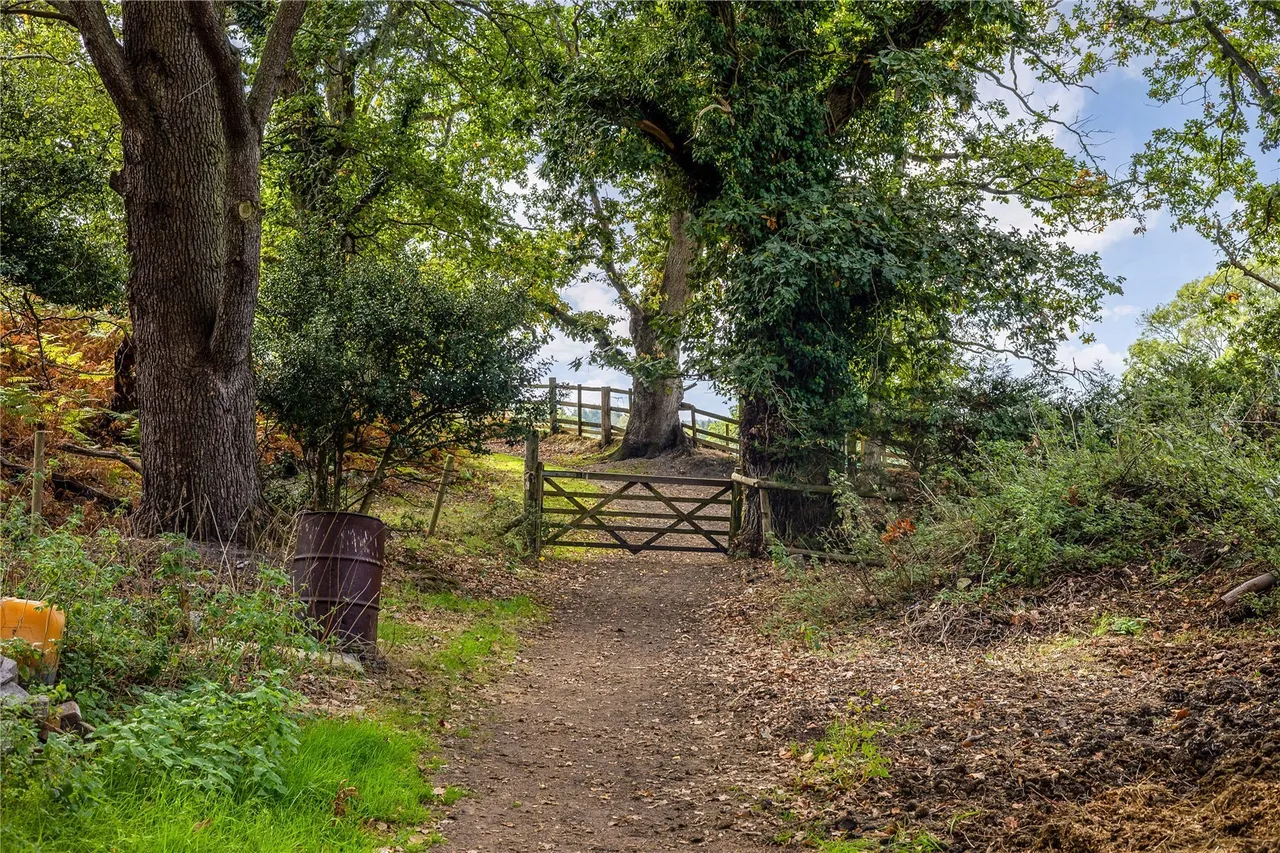 Mockbeggar, Ringwood, BH24, photo 34