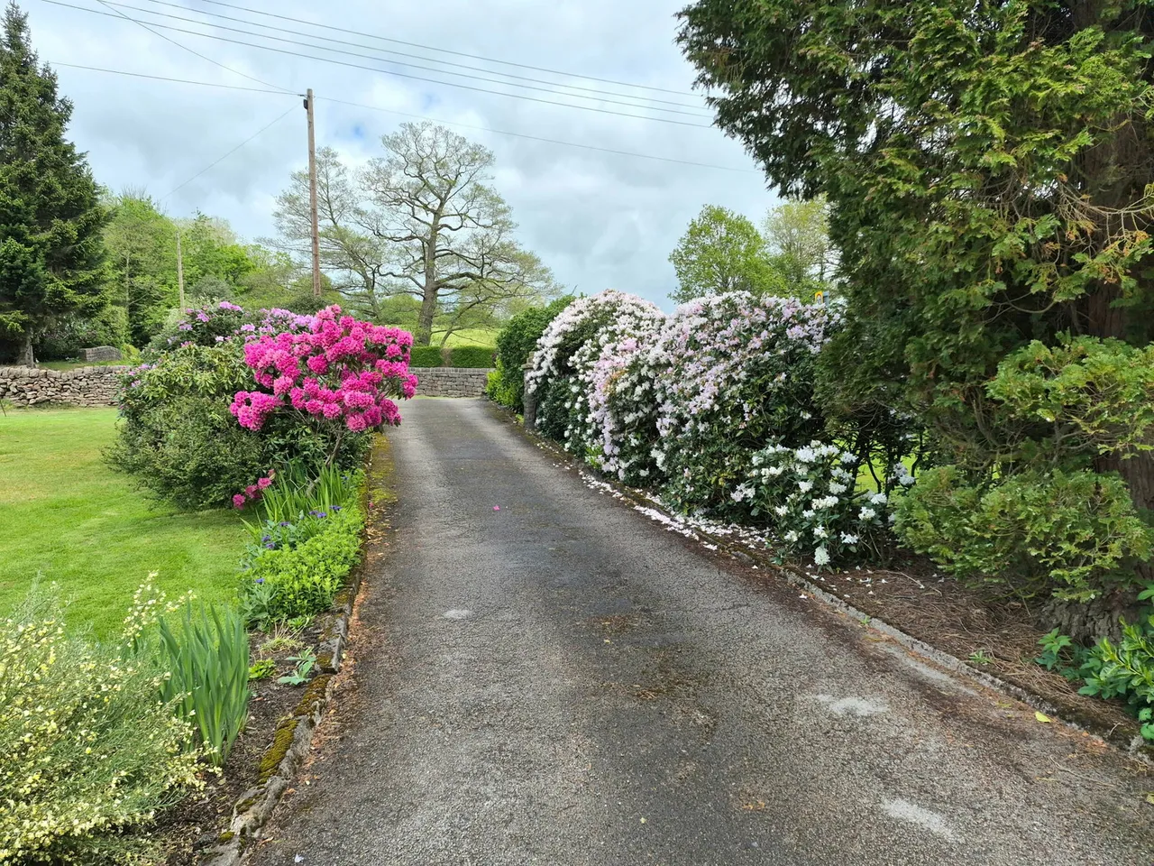 Rushton Spencer, Macclesfield, SK11, photo 23