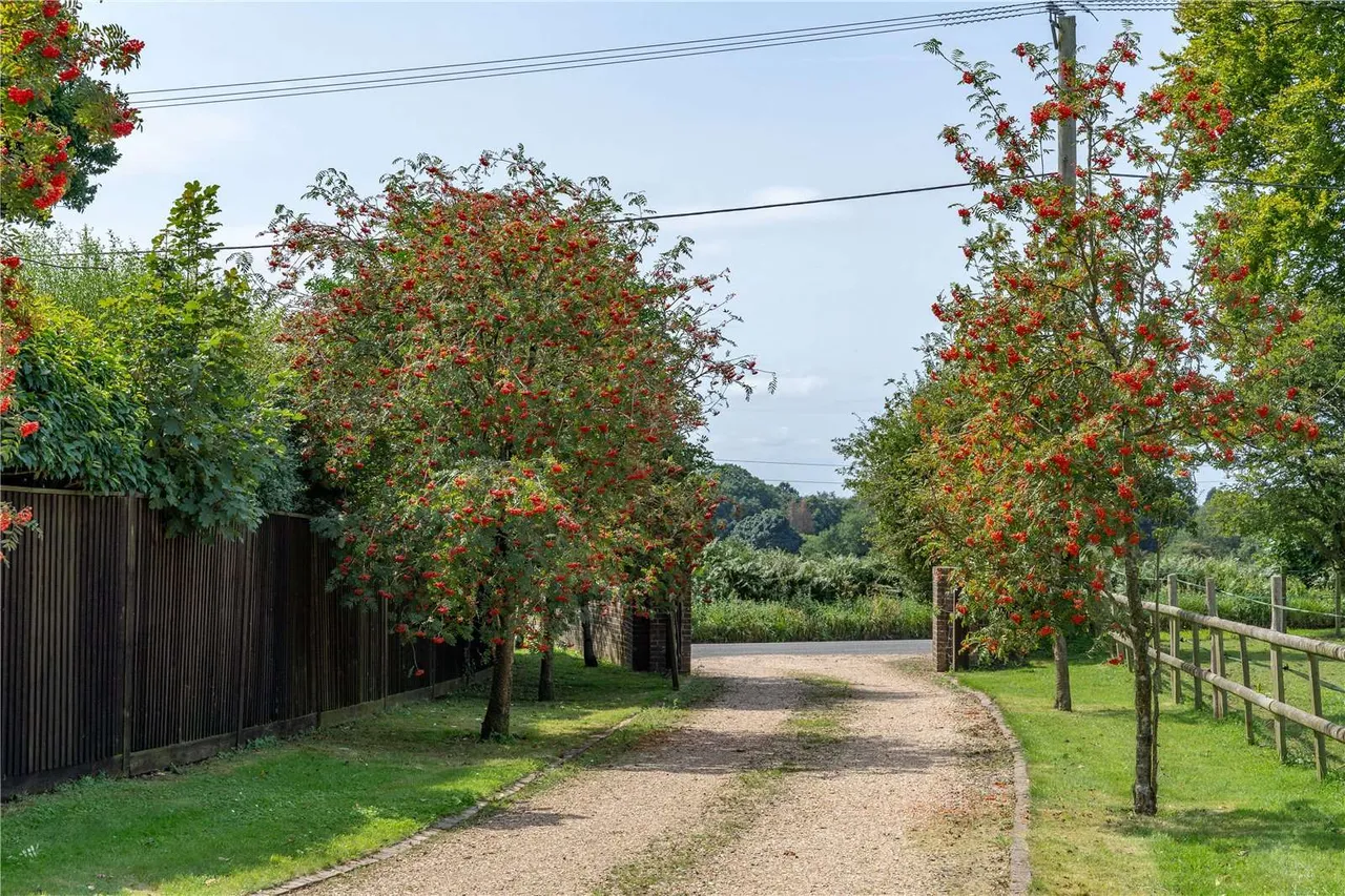 Roe Downs Road, Medstead, Alton, Hampshire, GU34 5LG, photo 2