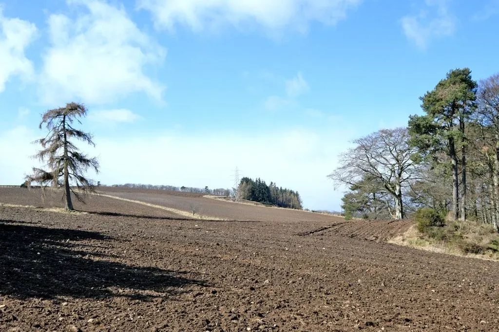 Littlemill Of Clinterty, Kingswells, AB15, photo 19