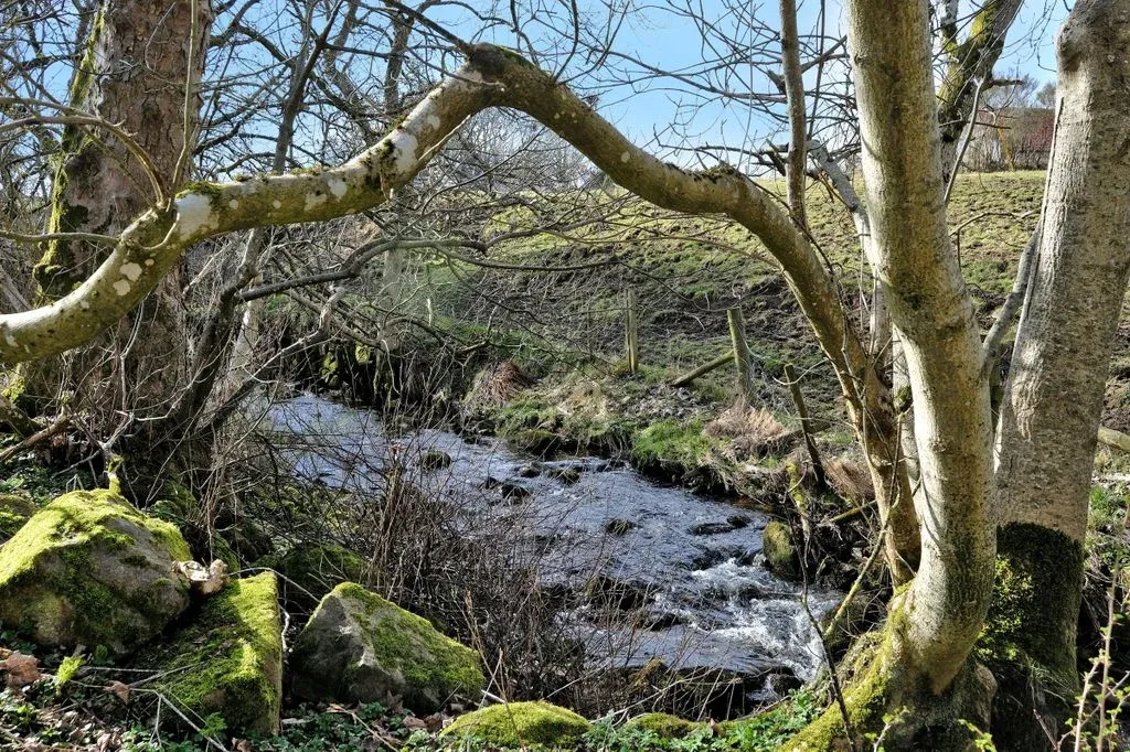 Littlemill Of Clinterty, Kingswells, AB15, photo 17