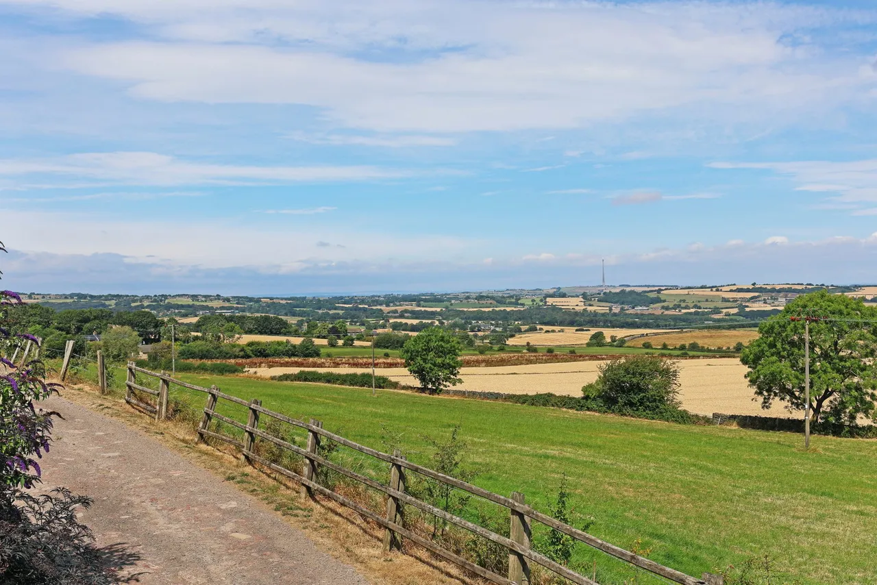 Haigh Head Road, Hoylandswaine, S36, photo 41