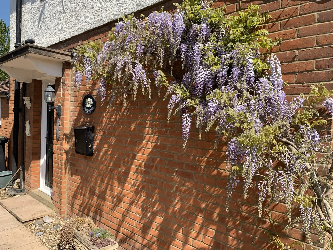 Aldermaston Road, Basingstoke, RG24, photo 14