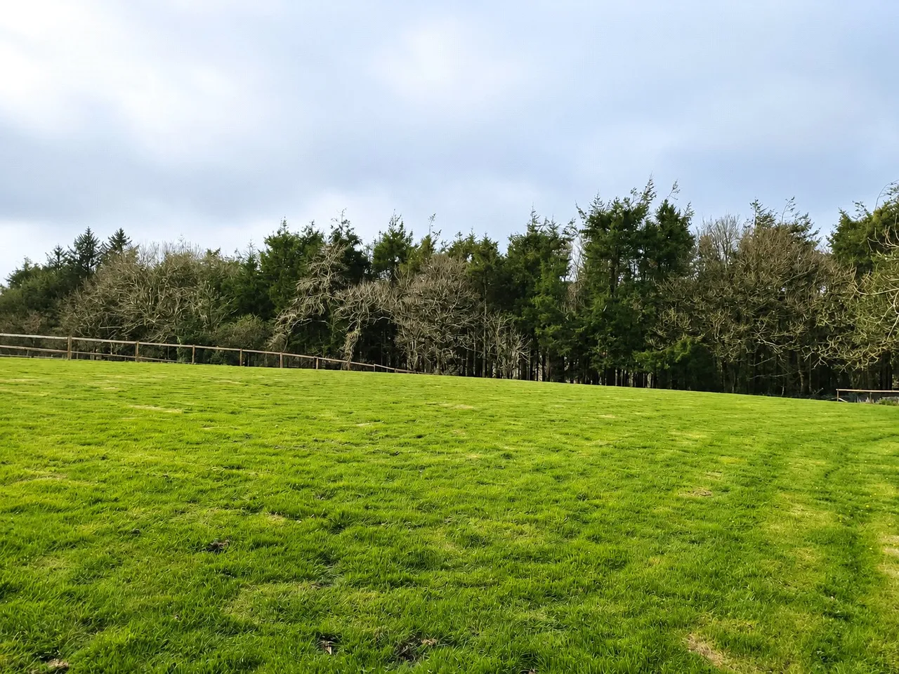 Lanlivery, Bodmin, PL30, photo 26