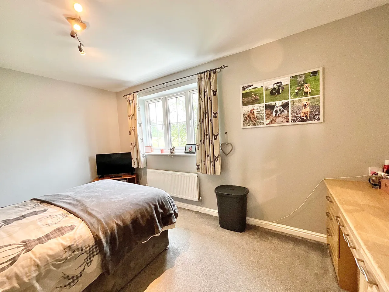 Havensfield Drive, Tean, ST10, photo 17