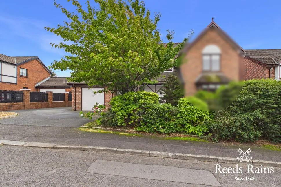 Highfields Avenue, Lisburn, BT28, photo 26