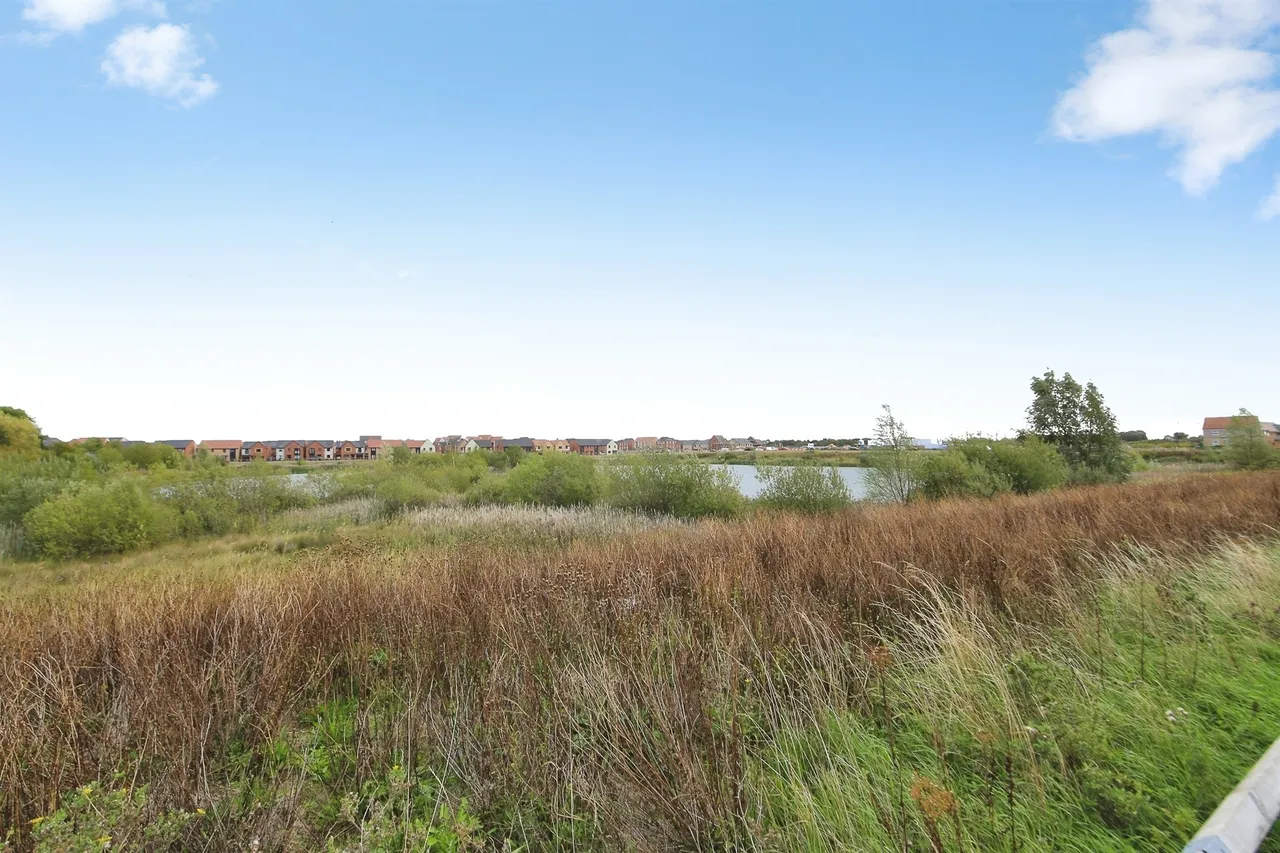 Belmont Place, Hampton Water, Peterborough, photo 12