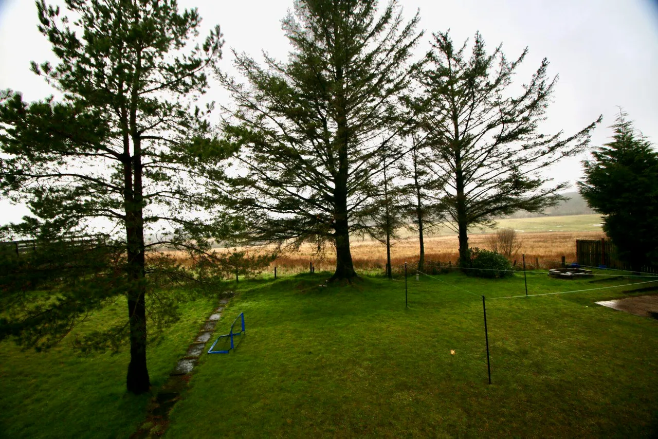 Luckenhill Drive, Upperton, ML6 7TS, photo 25