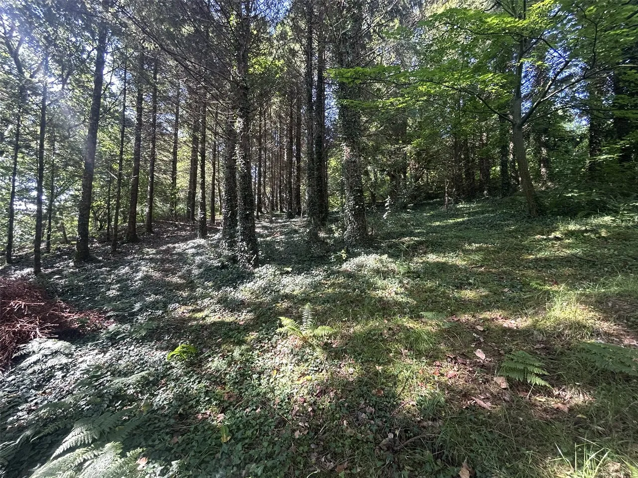 Aberdovey, Gwynedd, photo 22