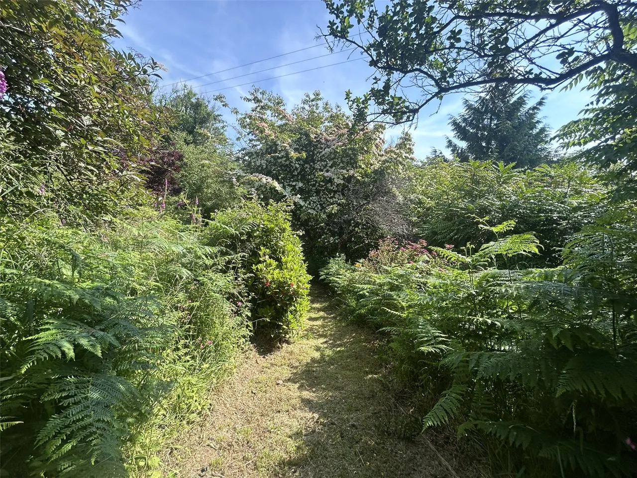 Aberdovey, Gwynedd, photo 20